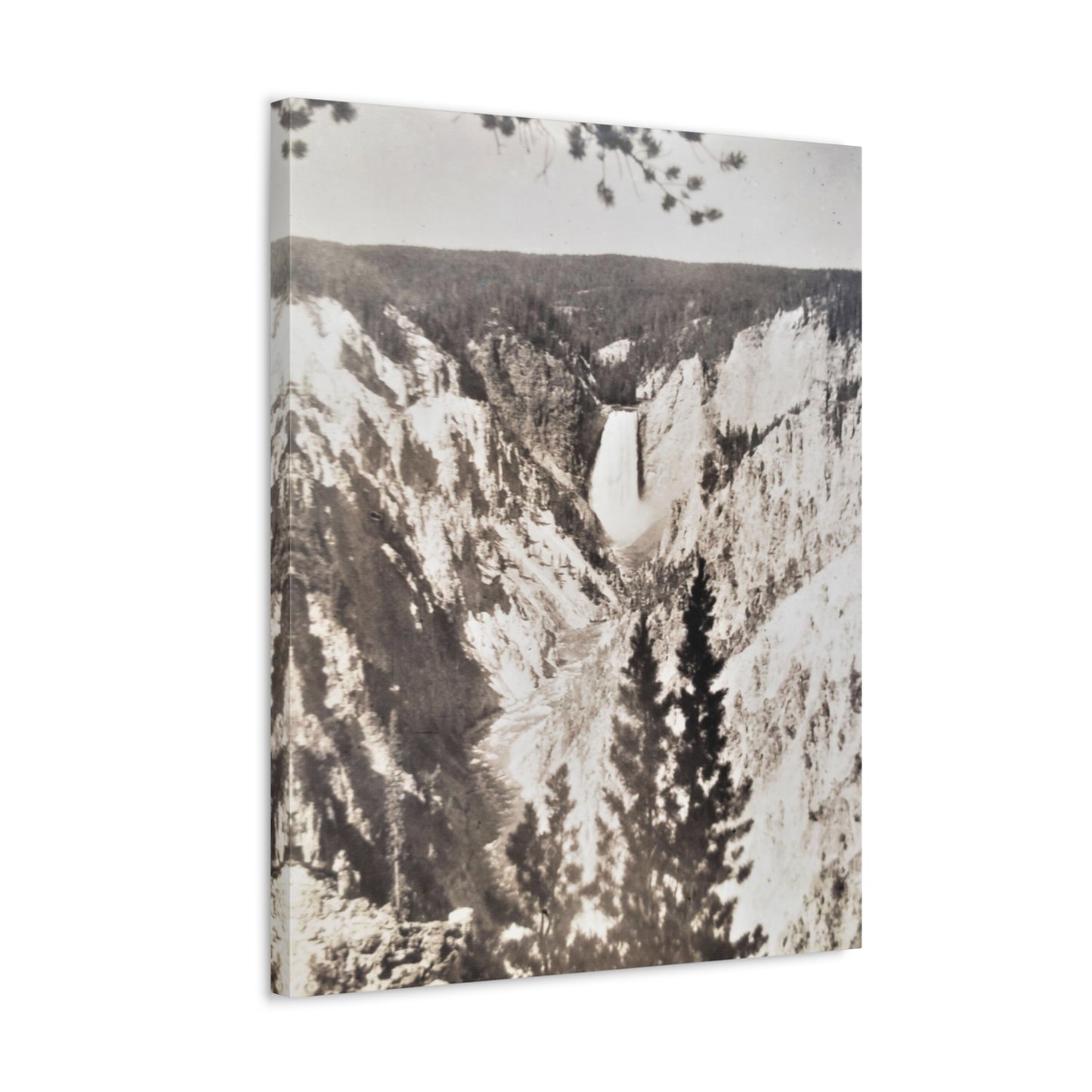 Artists Point Yellowstone Stretched Canvas