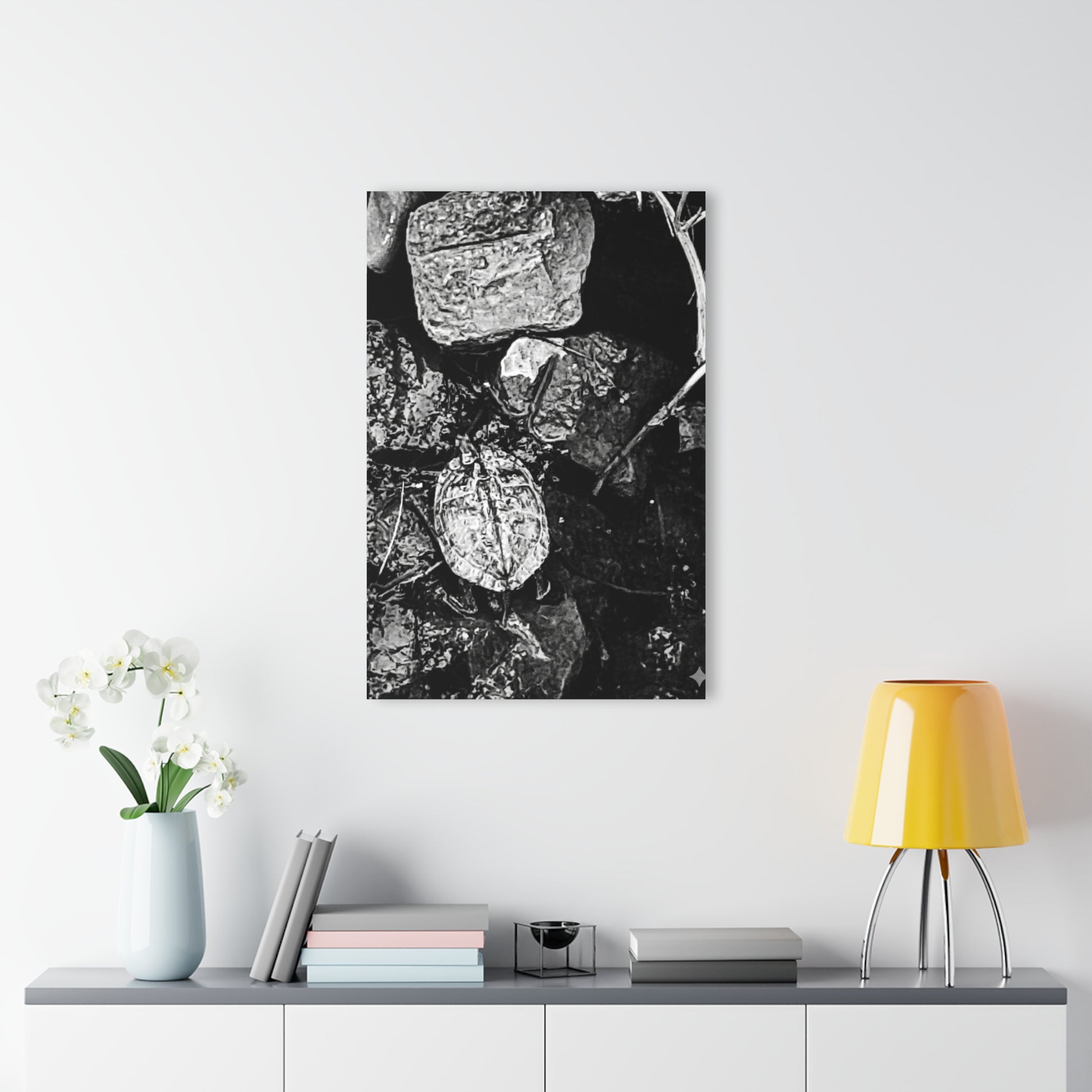 Black & White Turtle Macro Acrylic Print — Modern Nature Wall Art French Cleat Hanging - - Home Decor