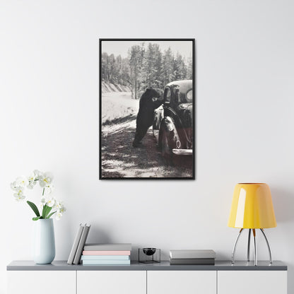 Yellowstone Bear Car Gallery Canvas Wraps Vertical Frame 24″ x 36″ Premium Gallery Wraps (1.25″) Black