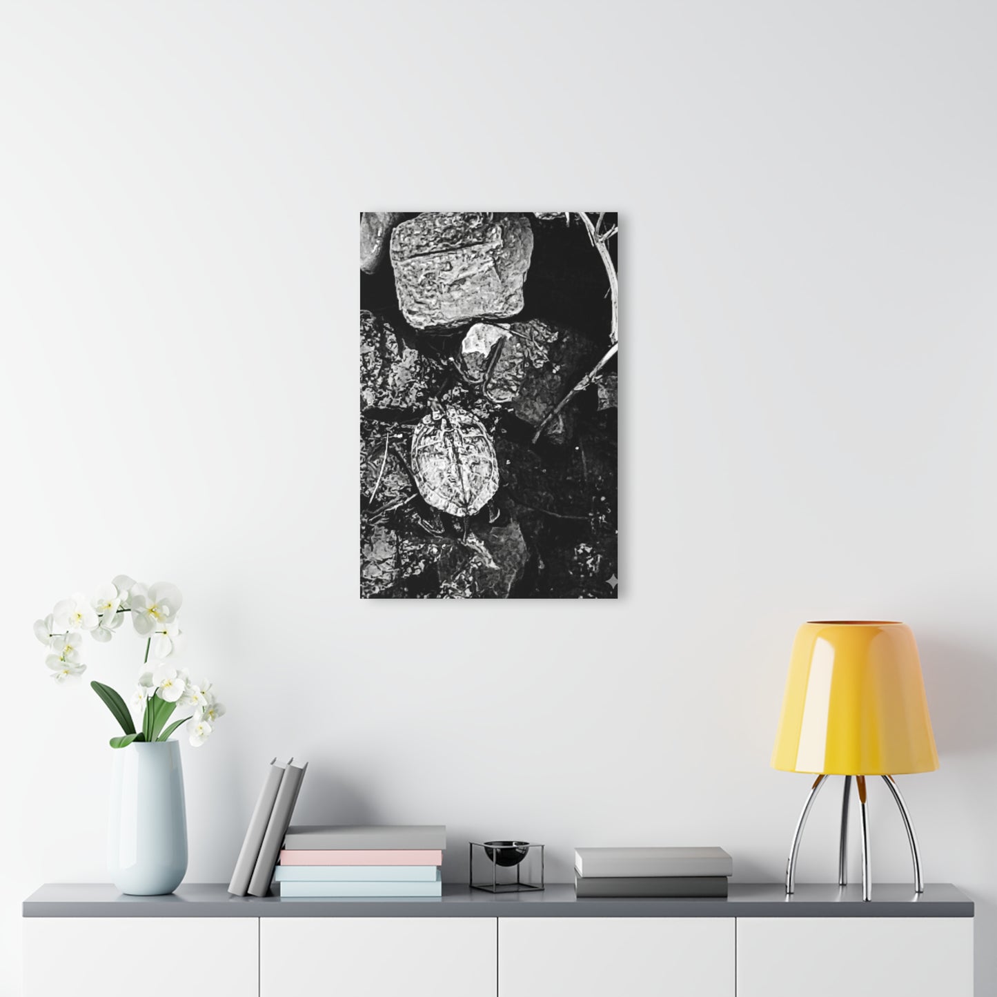 Black & White Turtle Macro Acrylic Print — Modern Nature Wall Art French Cleat Hanging - - Home Decor