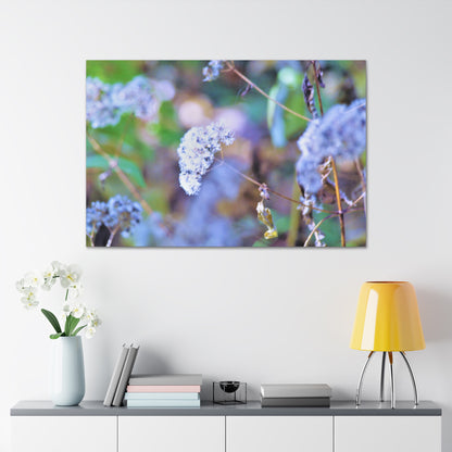 Macro Blue Canvas Gallery Wraps