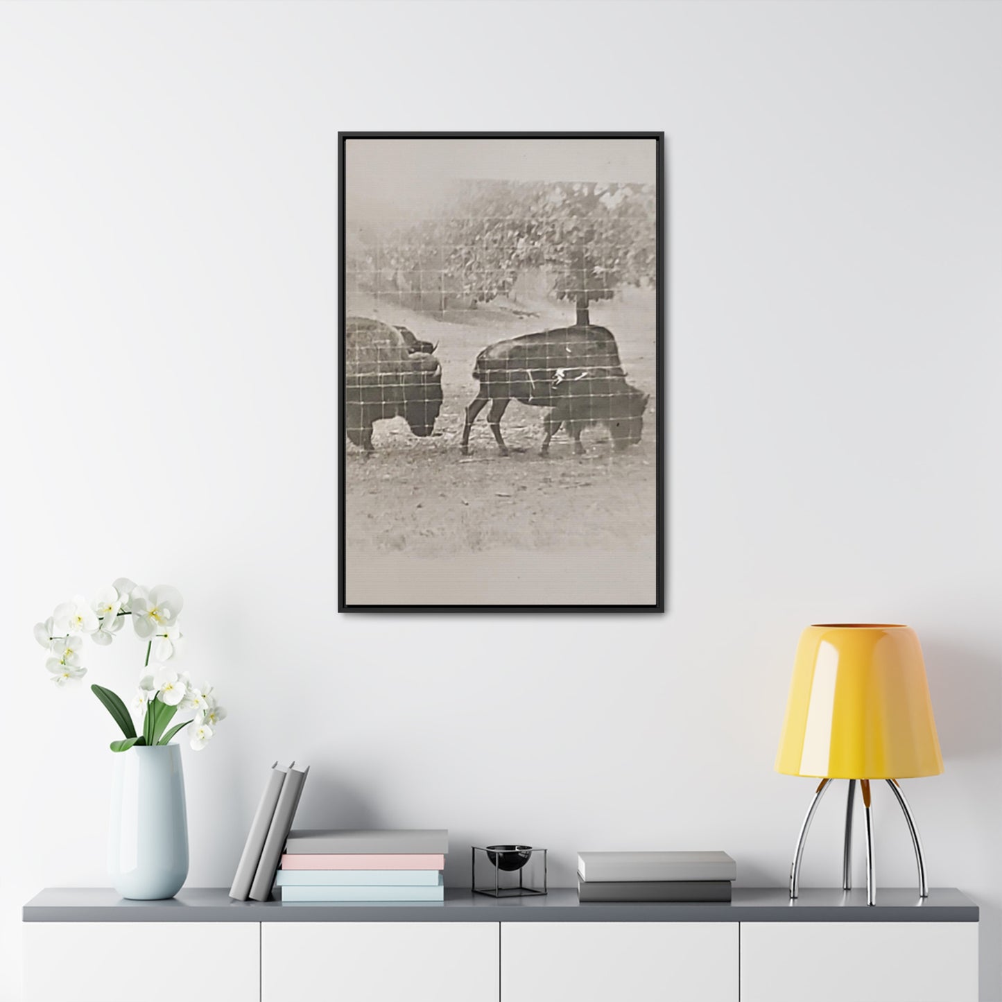 Buffalo at Redwood Falls Gallery Canvas Wraps, Vertical Frame