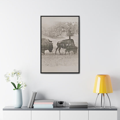 Buffalo at Redwood Falls Gallery Canvas Wraps Vertical Frame 24″ x 36″ Premium Gallery Wraps (1.25″) Black