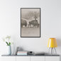 Buffalo at Redwood Falls Gallery Canvas Wraps Vertical Frame 24″ x 36″ Premium Gallery Wraps (1.25″) Black