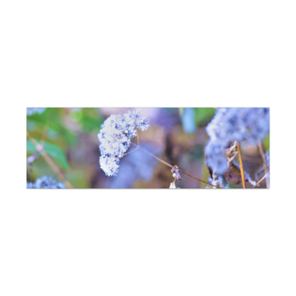 Macro Blue Canvas Gallery Wraps 60″ x 20″ 1.25"