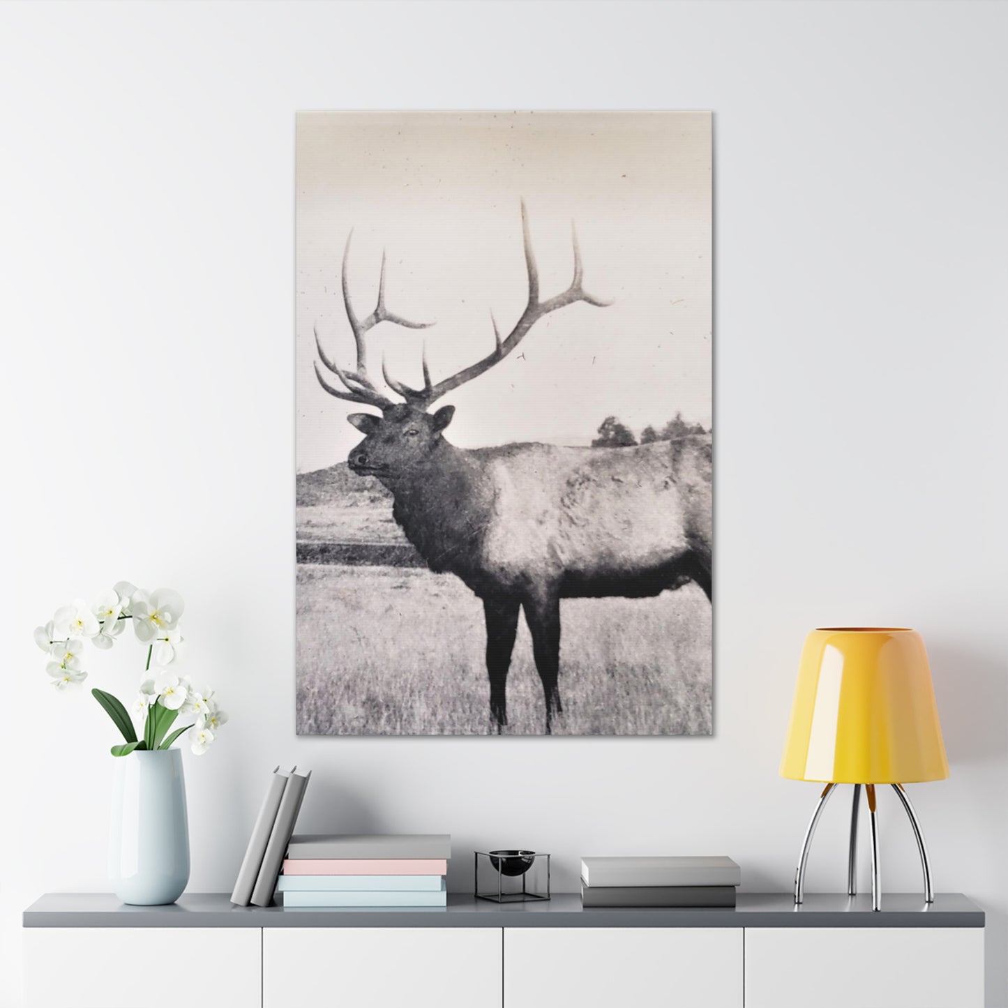 Yellowstone Bull Elk Canvas Gallery Wraps