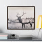 Yellowstone Bull Elk Gallery Canvas Wraps Horizontal Frame 24″ x 20″ Walnut Premium Gallery Wraps (1.25″)