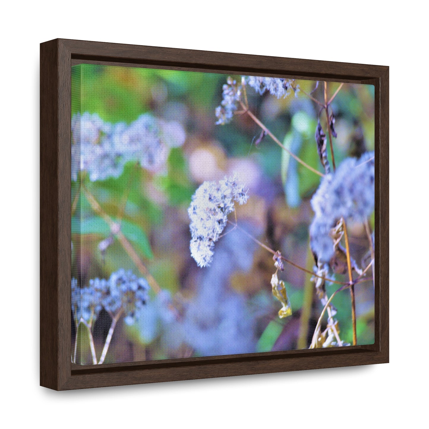 Macro Blue Gallery Canvas Wraps, Horizontal Frame