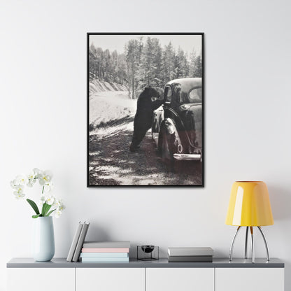 Yellowstone Bear Car Gallery Canvas Wraps Vertical Frame 30″ x 40″ Premium Gallery Wraps (1.25″) Black