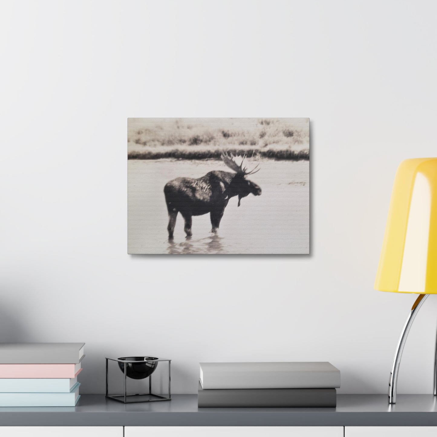 Yellowstone Bull Moose Stretched Canvas