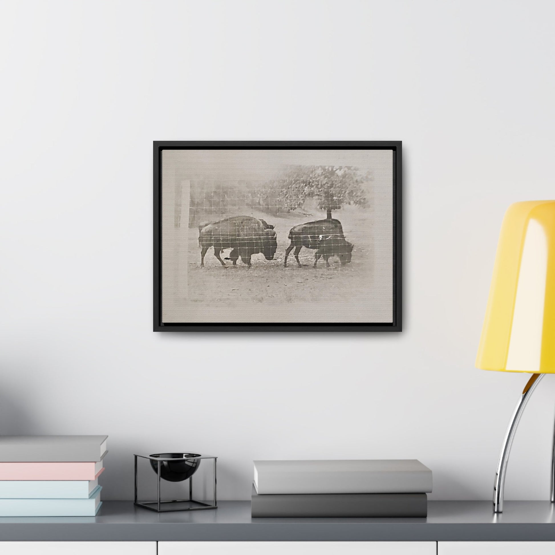 Buffalo at Redwood Falls Gallery Canvas Wraps Horizontal Frame - 16″ x 12″ Black Premium Gallery Wraps (1.25″) - Canvas