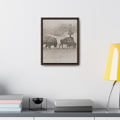 Buffalo at Redwood Falls Gallery Canvas Wraps Vertical Frame 11″ x 14″ Premium Gallery Wraps (1.25″) Walnut
