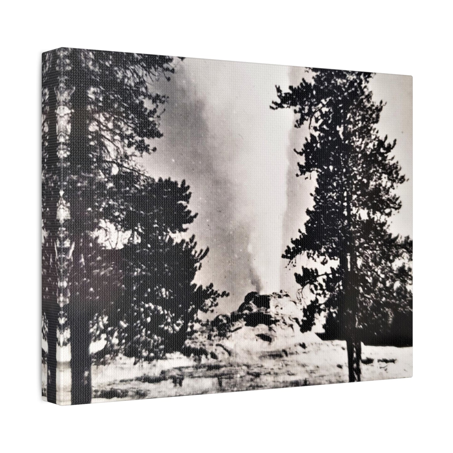 Castle Geyser Yellowstone Stretched Canvas