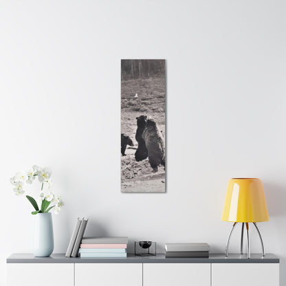 Yellowstone Grizzly Bears Canvas Gallery Wraps 12″ x 36″ 1.25"