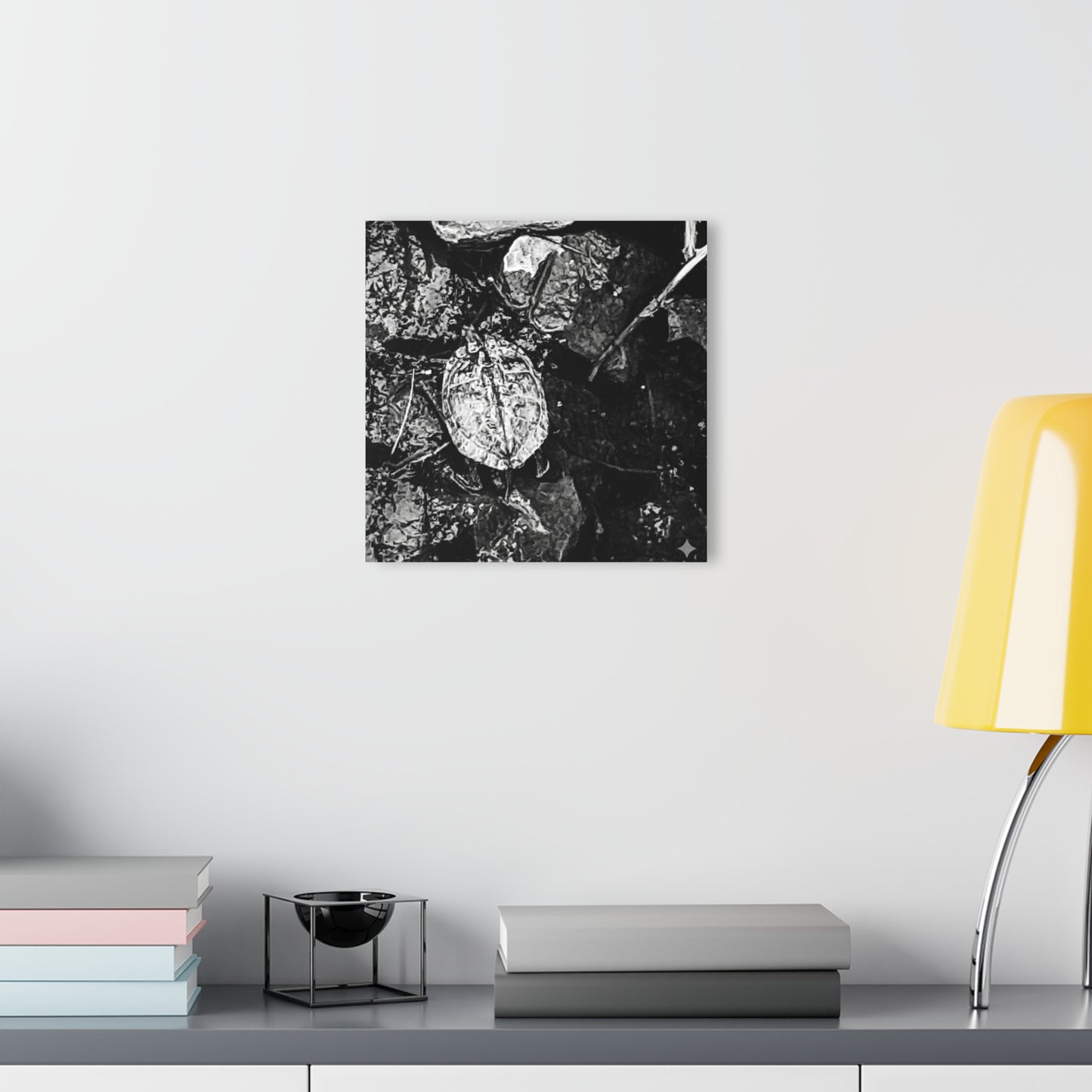 Black & White Turtle Macro Acrylic Print — Modern Nature Wall Art French Cleat Hanging - - Home Decor