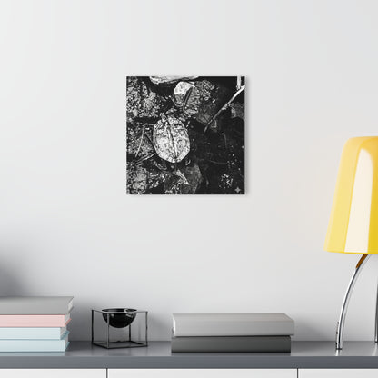 Black & White Turtle Macro Acrylic Print — Modern Nature Wall Art French Cleat Hanging - - Home Decor