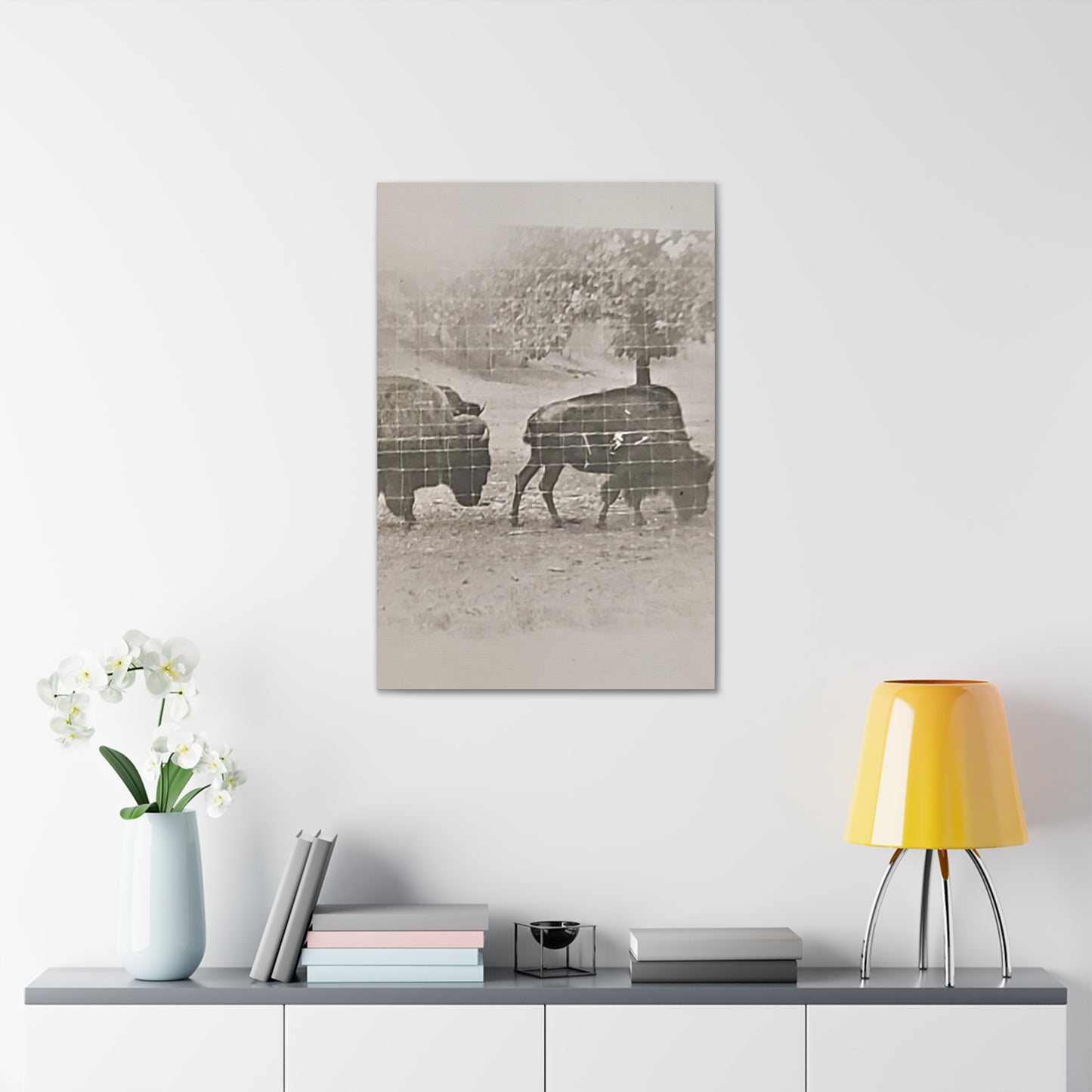 Buffalo at Redwood Falls Canvas Gallery Wraps