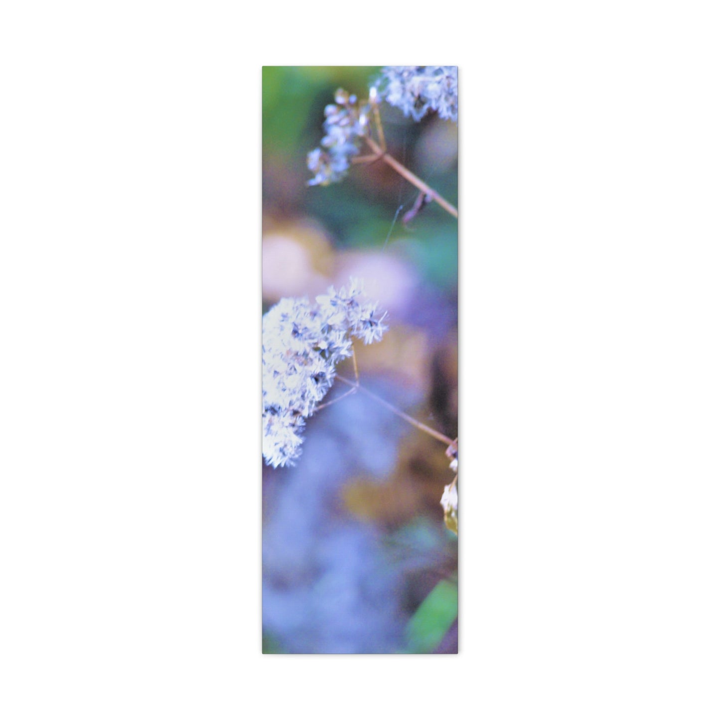 Macro Blue Canvas Gallery Wraps