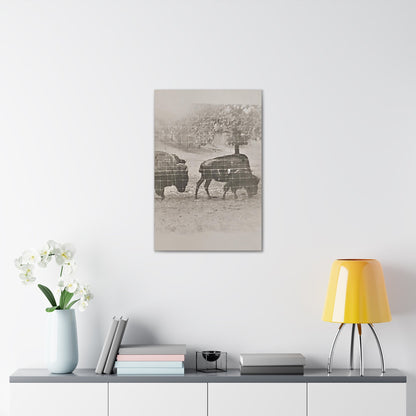 Buffalo at Redwood Falls Canvas Gallery Wraps 20″ x 30″ 1.25"