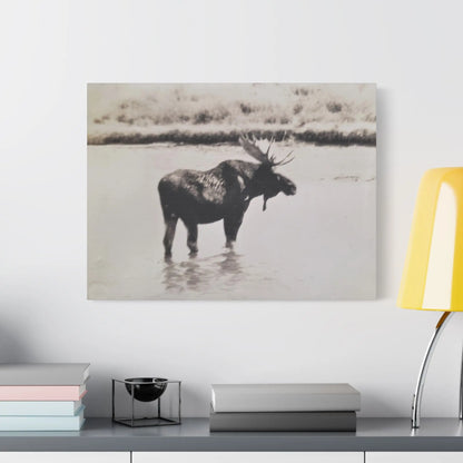 Yellowstone Bull Moose Satin Canvas, Stretched