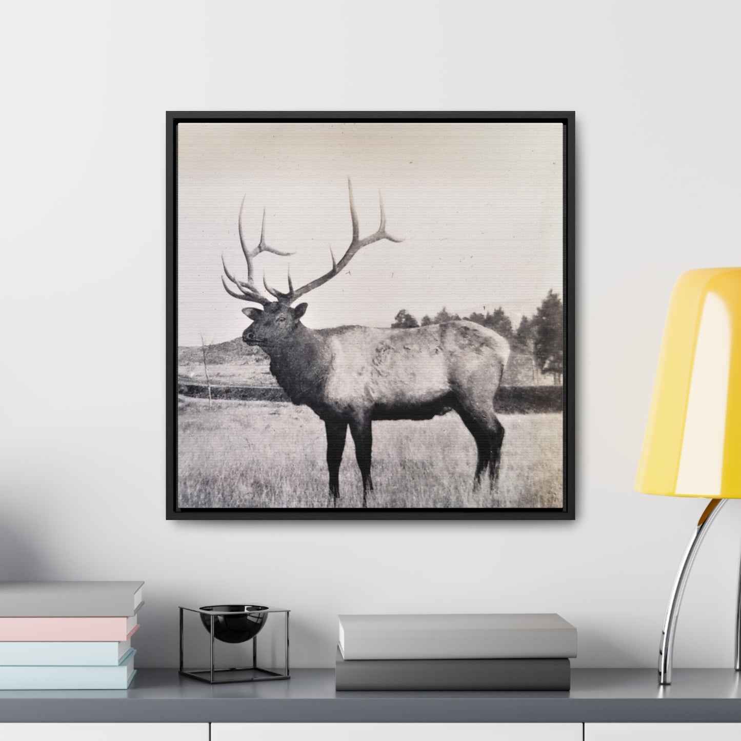 Yellowstone Bull Elk Gallery Canvas Wraps, Square Frame