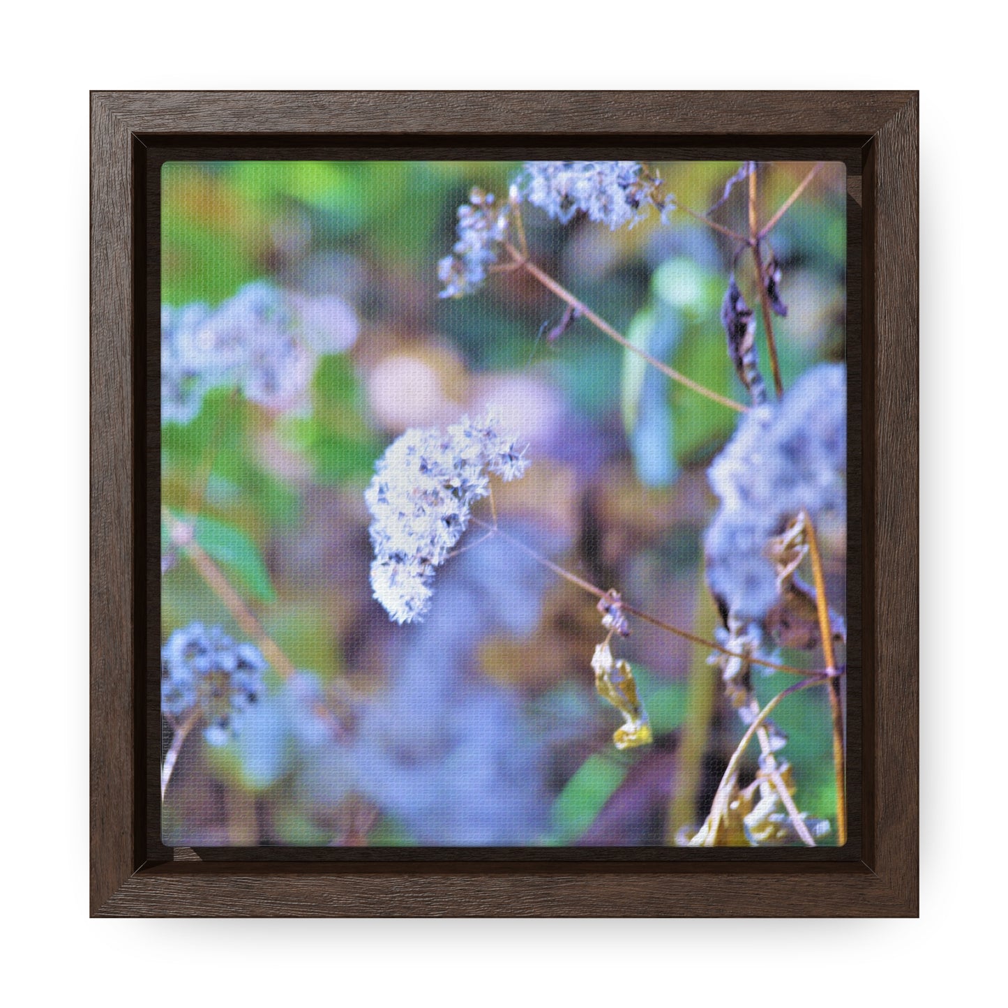 Macro Blue Gallery Canvas Wraps, Square Frame