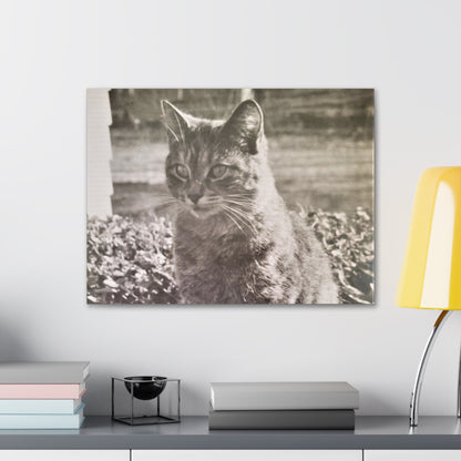Caledonia Canvas Gallery Wraps 24″ x 18″ 1.25"