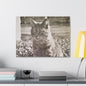 Caledonia Canvas Gallery Wraps 24″ x 18″ 1.25"