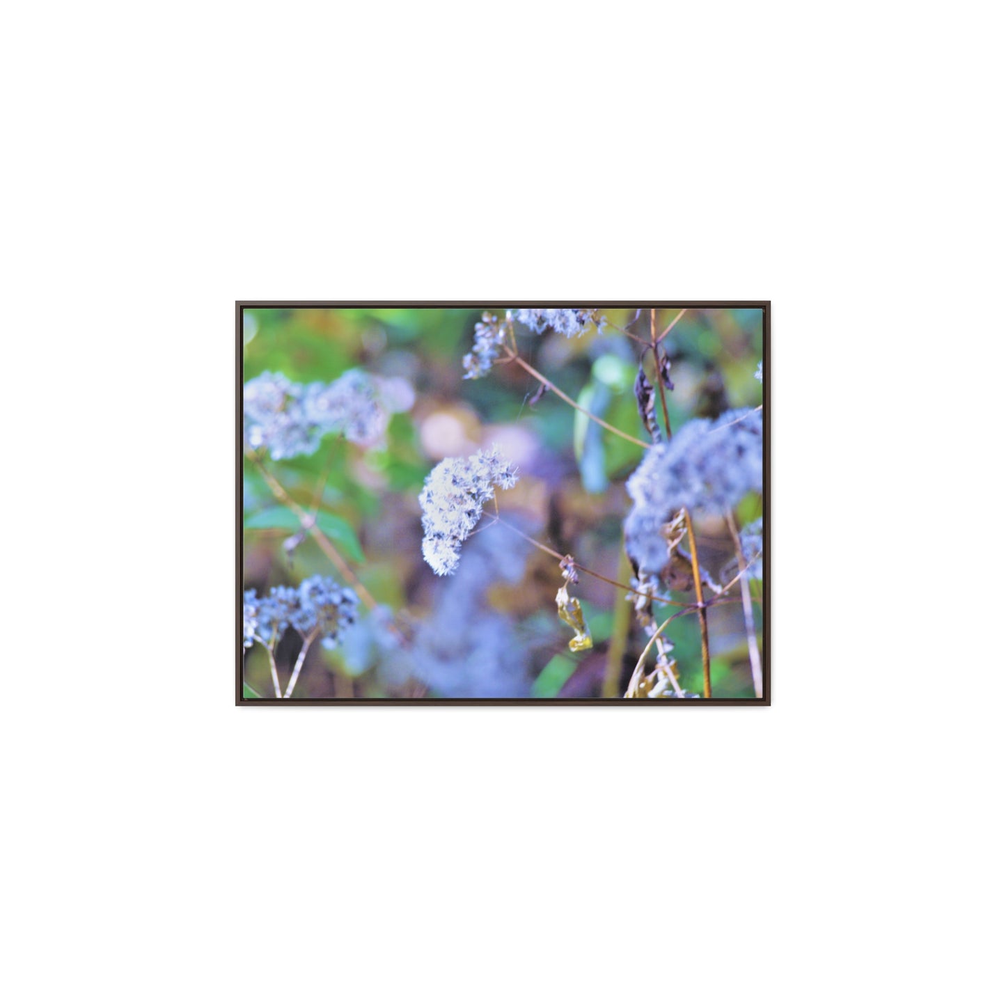 Macro Blue Gallery Canvas Wraps, Horizontal Frame