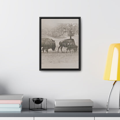 Buffalo at Redwood Falls Gallery Canvas Wraps Vertical Frame 12″ x 16″ Premium Gallery Wraps (1.25″) Black