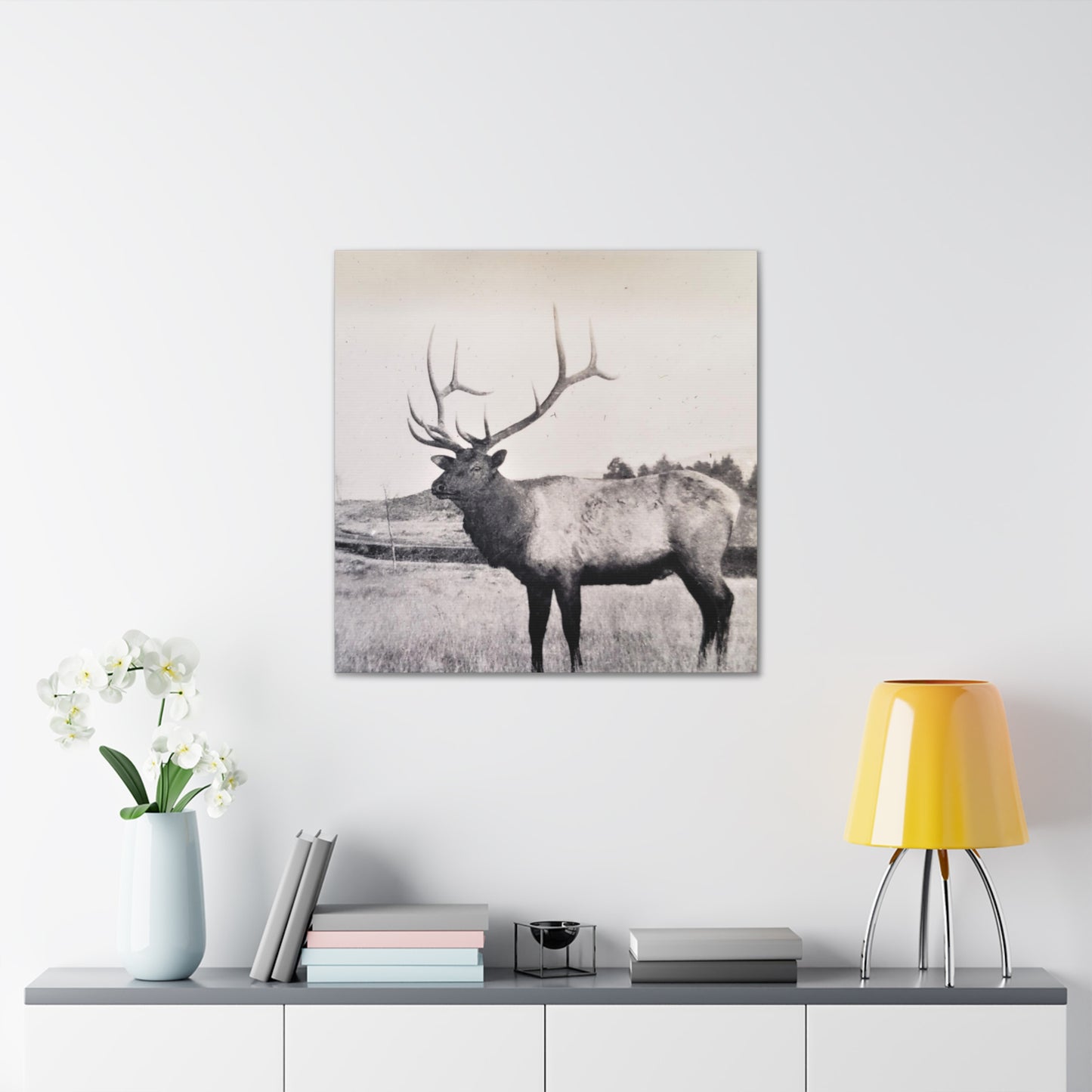 Yellowstone Bull Elk Canvas Gallery Wraps