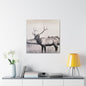 Yellowstone Bull Elk Canvas Gallery Wraps 30″ x 30″ 1.25"