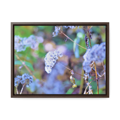 Macro Blue Gallery Canvas Wraps, Horizontal Frame 16″ x 12″ Walnut Premium Gallery Wraps (1.25″)