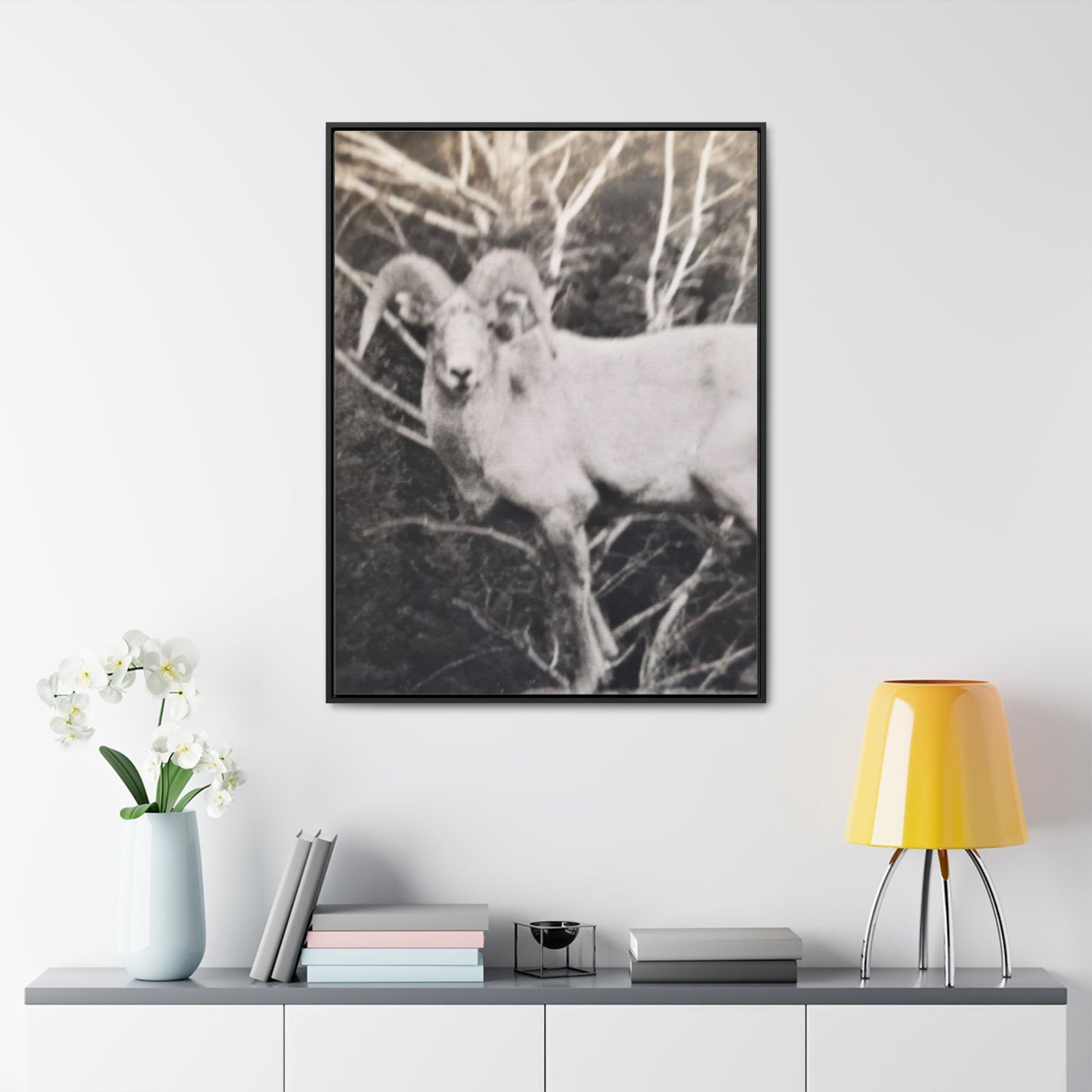 Yellowstone Big Horn Sheep Gallery Canvas Wraps Vertical Frame 30″ x 40″ Premium Gallery Wraps (1.25″) Black