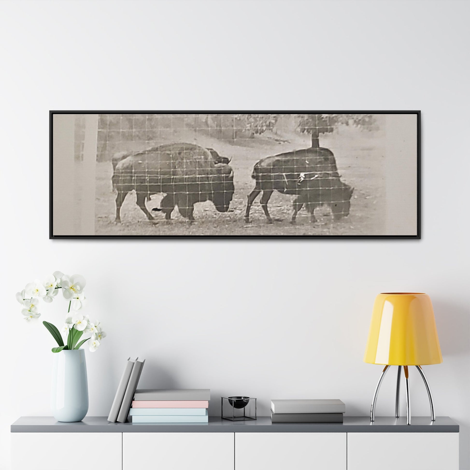 Buffalo at Redwood Falls Gallery Canvas Wraps Horizontal Frame 60″ x 20″ Black Premium Gallery Wraps (1.25″)