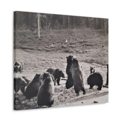 Yellowstone Grizzly Bears Canvas Gallery Wraps