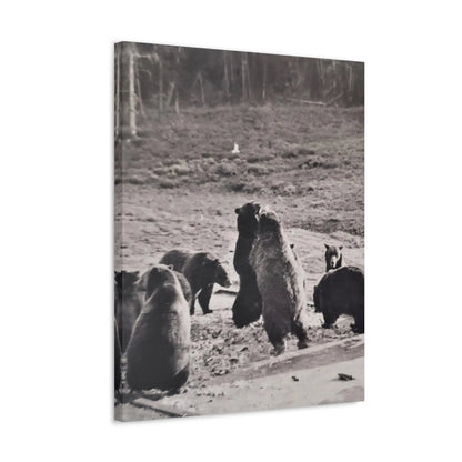 Yellowstone Grizzly Bears Stretched Canvas