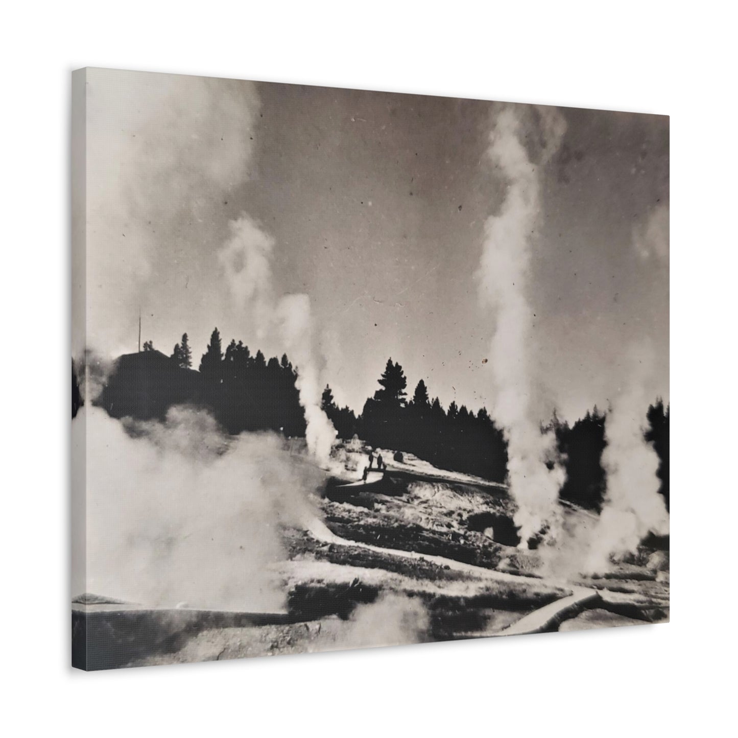 Norris Geyser Yellowstone Stretched Canvas