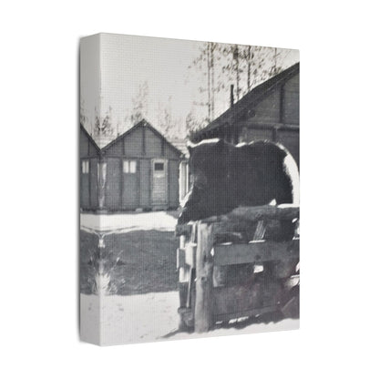 Yellowstone Bear Satin Canvas Stretched
