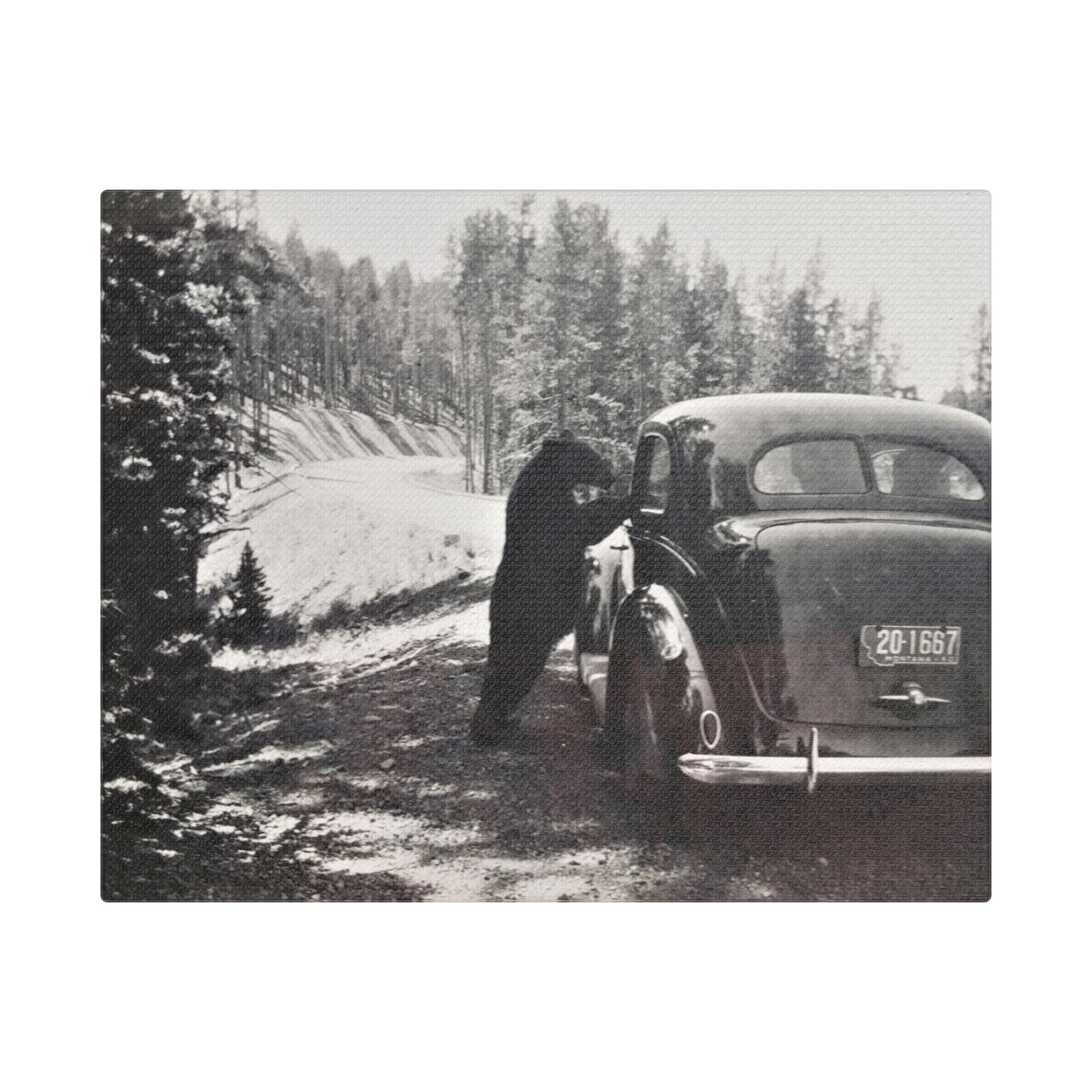 Yellowstone Bear Car Satin Canvas Stretched