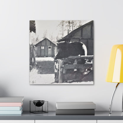 Yellowstone Bear Canvas Gallery Wraps 20″ x 20″ 1.25"