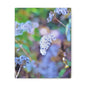 Macro Blue Stretched Canvas 1.5" 8″ x 10″