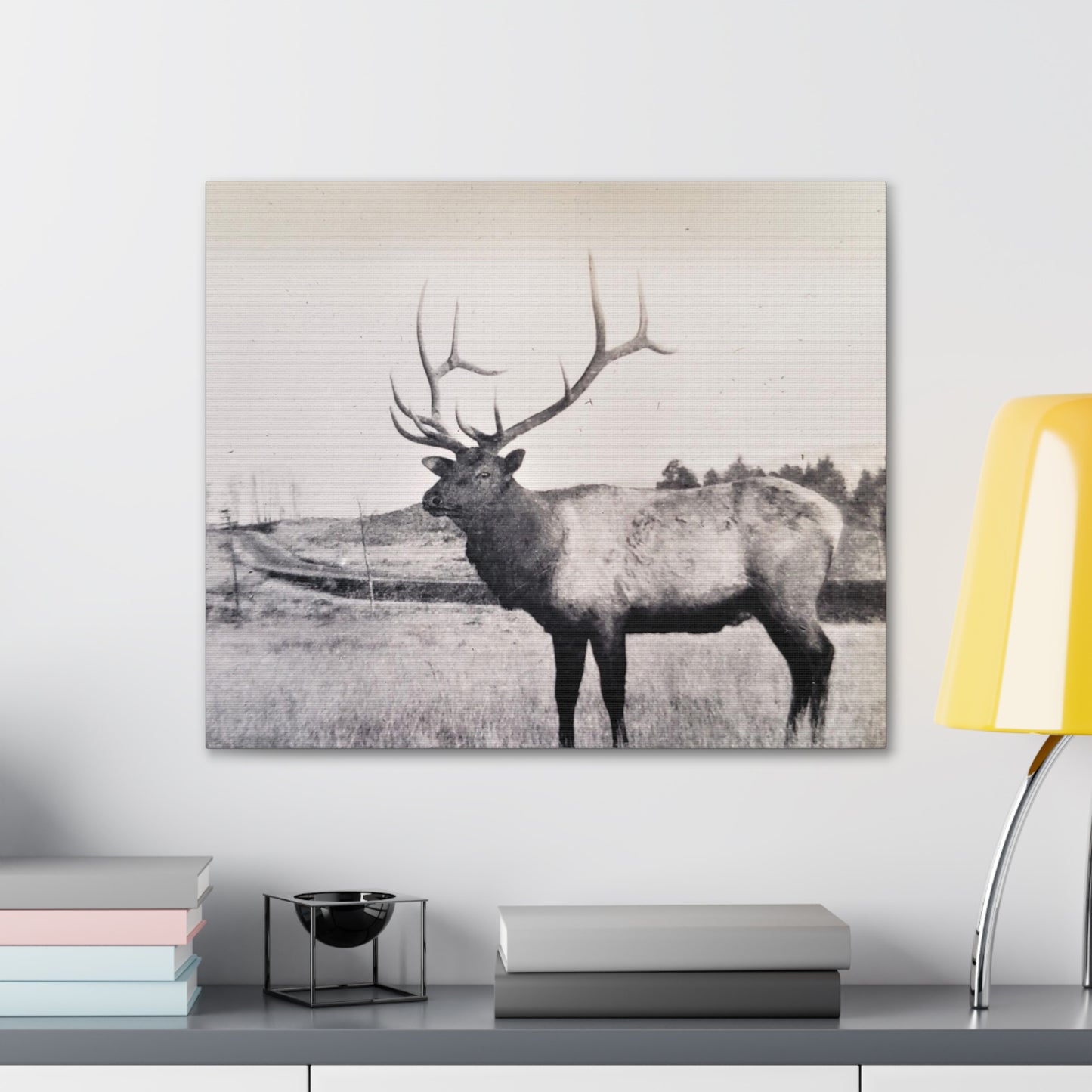 Yellowstone Bull Elk Canvas Gallery Wraps