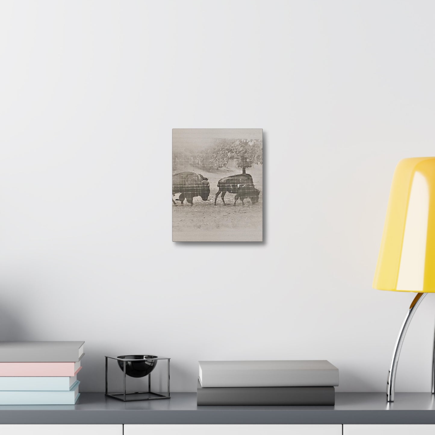 Buffalo at Redwood Falls Stretched Canvas