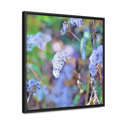 Macro Blue Gallery Canvas Wraps, Square Frame