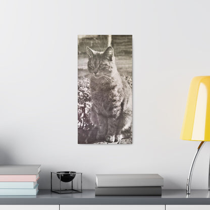 Caledonia Canvas Gallery Wraps 10″ x 20″ 1.25"