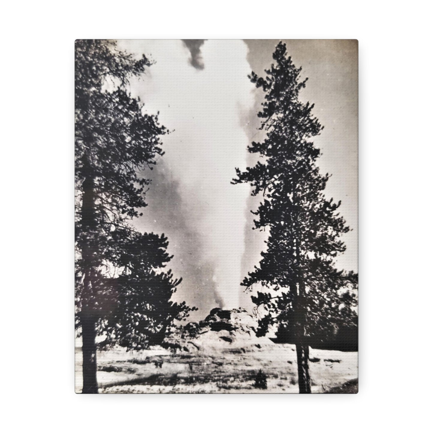 Castle Geyser Yellowstone Stretched Canvas