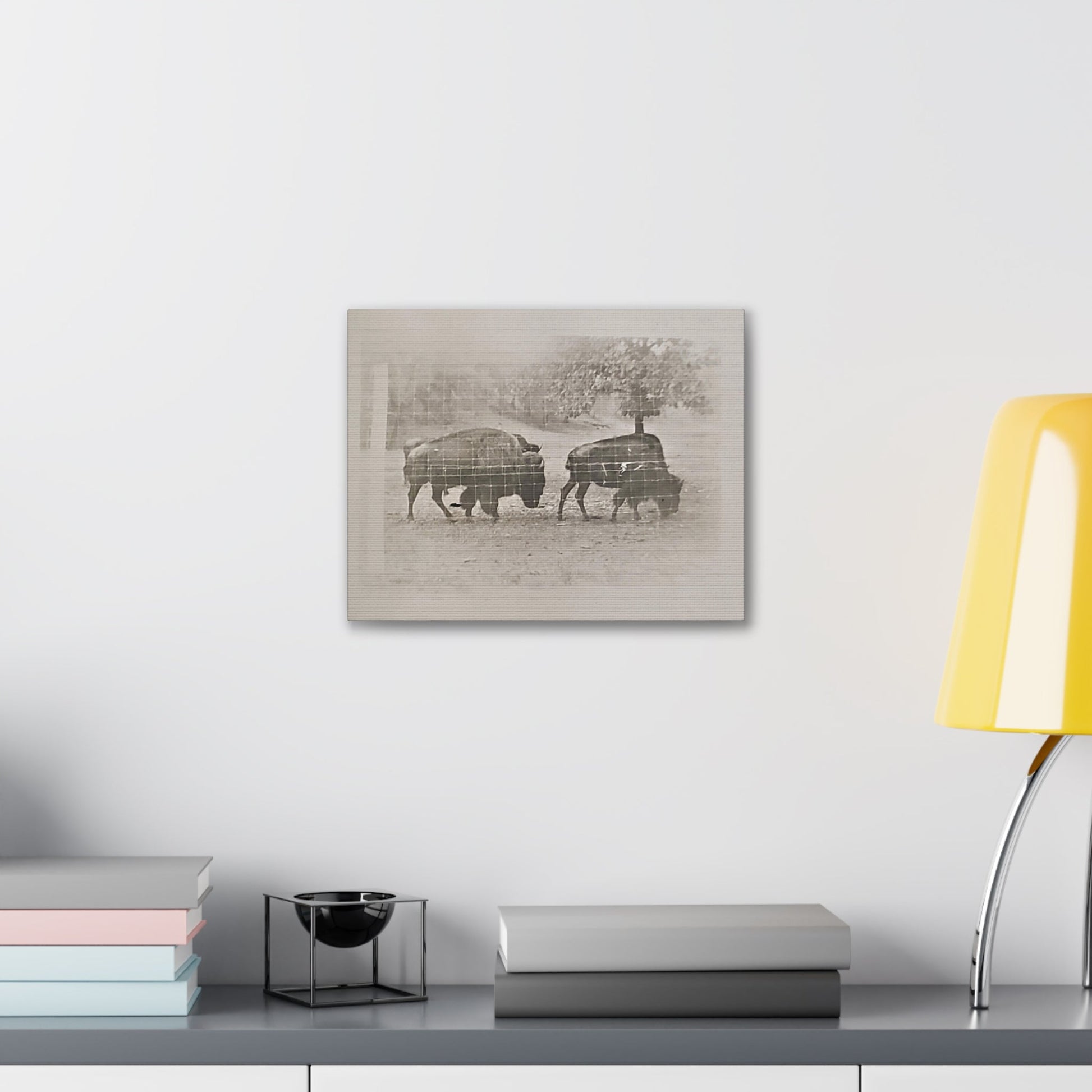 Buffalo at Redwood Falls Canvas Gallery Wraps - 14″ x 11″ 1.25" - Canvas