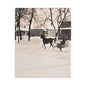 Carriage Ride Satin Canvas Stretched 8″ x 10″ (Vertical) 1.5"