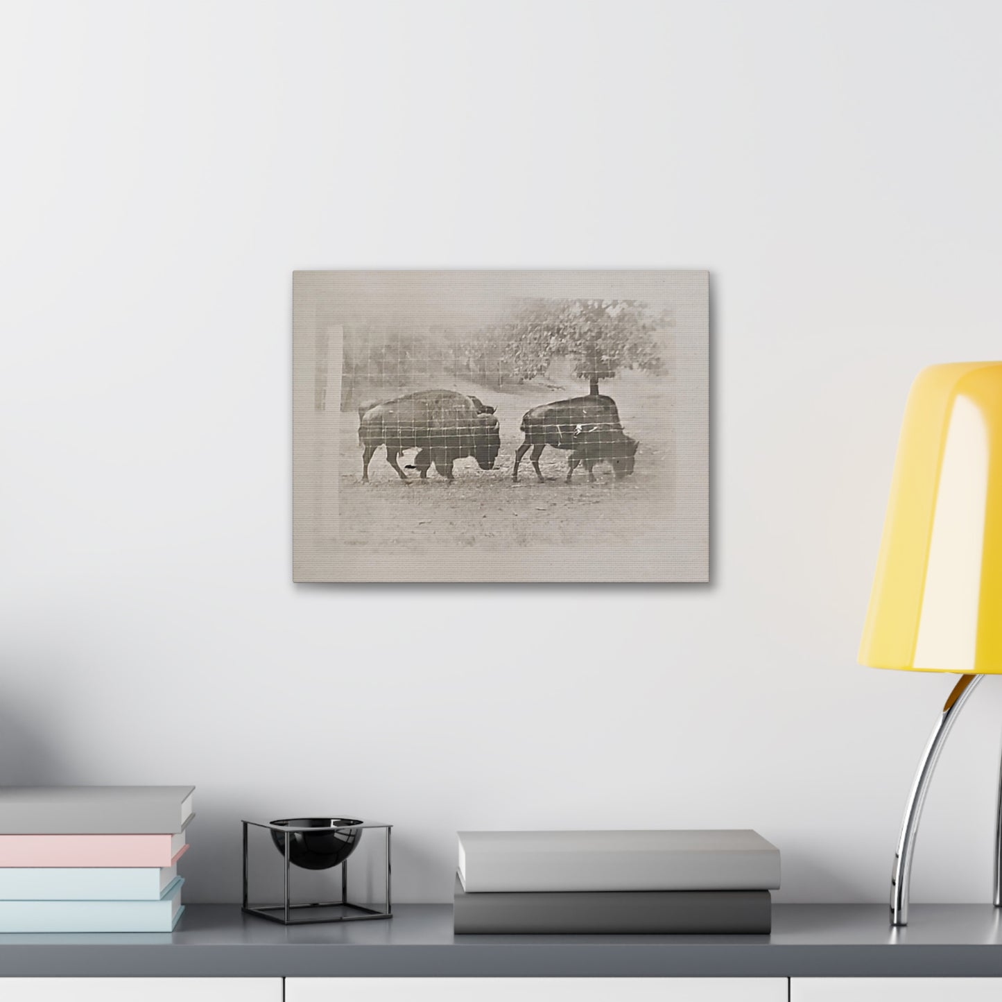 Buffalo at Redwood Falls Canvas Gallery Wraps